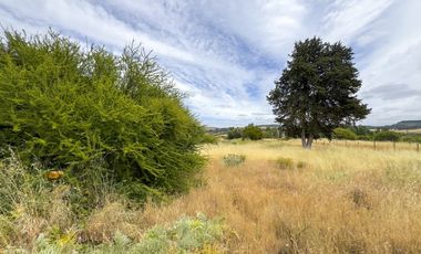 PARCELA 10.000 M2 EN CHUCHUNCO, LA ESTRELLA