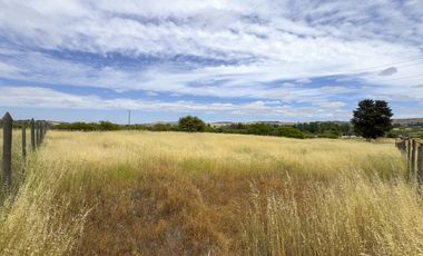 PARCELA 10.000 M2 EN CHUCHUNCO, LA ESTRELLA