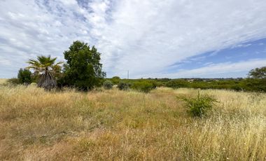 PARCELA 10.000 M2 EN CHUCHUNCO, LA ESTRELLA