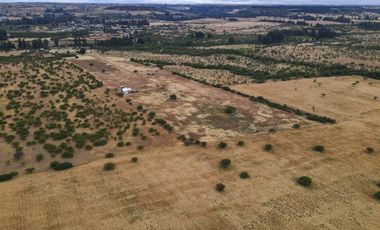 PARCELA 10.000 M2 EN CHUCHUNCO, LA ESTRELLA