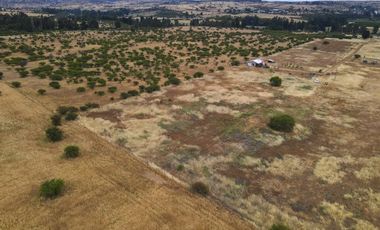PARCELA 10.000 M2 EN CHUCHUNCO, LA ESTRELLA