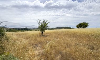 PARCELA 10.000 M2 EN CHUCHUNCO, LA ESTRELLA