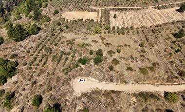 RUTA J-80 VICHUQUEN