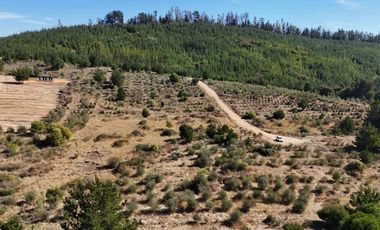 RUTA J-80 VICHUQUEN