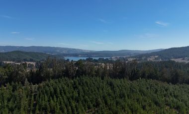 RUTA J-80 VICHUQUEN
