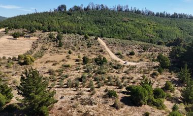 RUTA J-80 VICHUQUEN