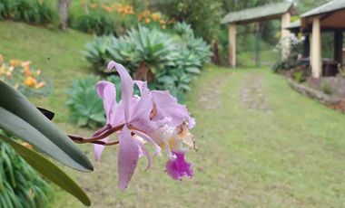 En Venta Finca en Anolaima, Cundinamarca