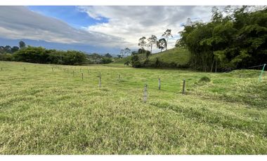 VENTA DE FINCA EN FILANDIA, QUINDO, COLOMBIA
