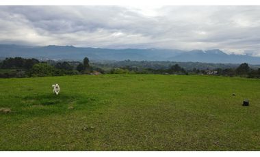 VENTA DE FINCA EN FILANDIA, QUINDO, COLOMBIA