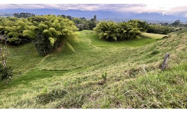 VENTA DE FINCA EN FILANDIA, QUINDO, COLOMBIA