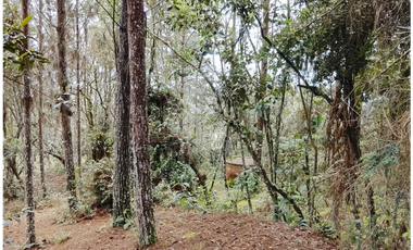 Vende Lote reservado con  excelente acceso-La Palma-Santa elena
