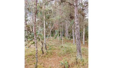 Vende Lote reservado con  excelente acceso-La Palma-Santa elena