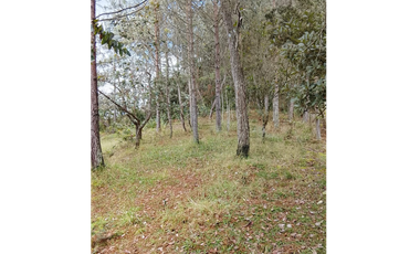 Vende Lote reservado con  excelente acceso-La Palma-Santa elena