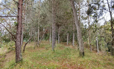 Vende Lote reservado con  excelente acceso-La Palma-Santa elena