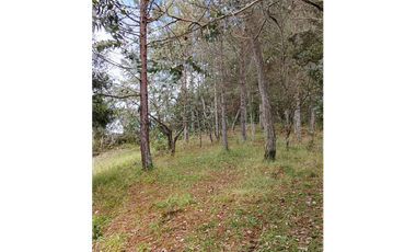 Vende Lote reservado con  excelente acceso-La Palma-Santa elena