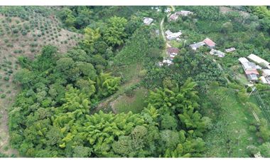 VENTA DE FUINCA ENTRE FILANDIA Y MONTENEGRO