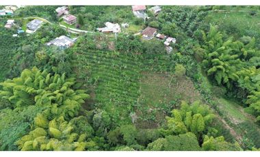 VENTA DE FUINCA ENTRE FILANDIA Y MONTENEGRO