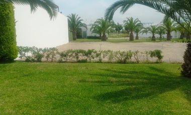 Terreno en CAÑETE