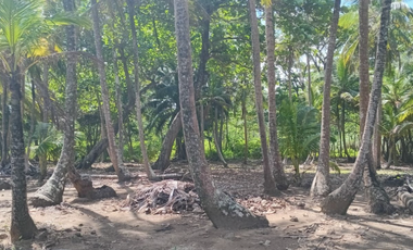 COLON / PLAYA CHIQUITA / 100 HECTAREAS / PARA DESARROLLO FRENTE AL MAR