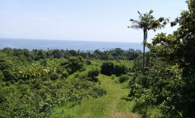 COLON / PLAYA CHIQUITA / 100 HECTAREAS / PARA DESARROLLO FRENTE AL MAR