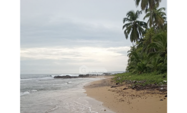 COLON / PLAYA CHIQUITA / 100 HECTAREAS / PARA DESARROLLO FRENTE AL MAR