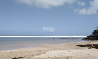 COLON / PLAYA CHIQUITA / 100 HECTAREAS / PARA DESARROLLO FRENTE AL MAR
