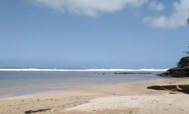 COLON / PLAYA CHIQUITA / 100 HECTAREAS / PARA DESARROLLO FRENTE AL MAR