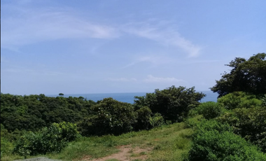 COLON / PLAYA CHIQUITA / 100 HECTAREAS / PARA DESARROLLO FRENTE AL MAR