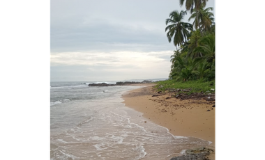 COLON / PLAYA CHIQUITA / 100 HECTAREAS / PARA DESARROLLO FRENTE AL MAR