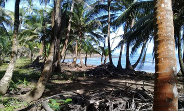 COLON / PLAYA CHIQUITA / 100 HECTAREAS / PARA DESARROLLO FRENTE AL MAR