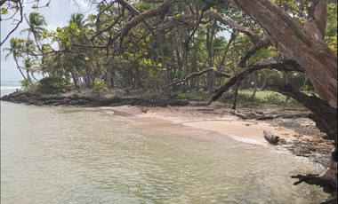 COLON / PLAYA CHIQUITA / 100 HECTAREAS / PARA DESARROLLO FRENTE AL MAR