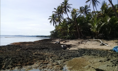 COLON / PLAYA CHIQUITA / 100 HECTAREAS / PARA DESARROLLO FRENTE AL MAR