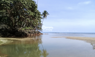 COLON / PLAYA CHIQUITA / 100 HECTAREAS / PARA DESARROLLO FRENTE AL MAR