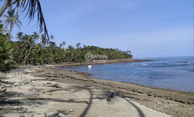 COLON / PLAYA CHIQUITA / 100 HECTAREAS / PARA DESARROLLO FRENTE AL MAR