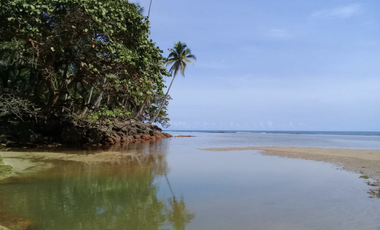 COLON / PLAYA CHIQUITA / 100 HECTAREAS / PARA DESARROLLO FRENTE AL MAR