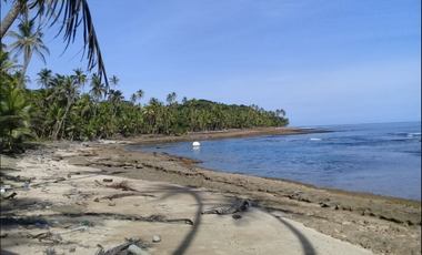 COLON / PLAYA CHIQUITA / 100 HECTAREAS / PARA DESARROLLO FRENTE AL MAR