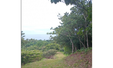 COLON / PLAYA CHIQUITA / 100 HECTAREAS / PARA DESARROLLO FRENTE AL MAR