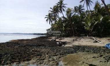 COLON / PLAYA CHIQUITA / 100 HECTAREAS / PARA DESARROLLO FRENTE AL MAR