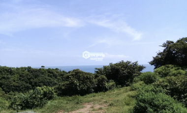 COLON / PLAYA CHIQUITA / 100 HECTAREAS / PARA DESARROLLO FRENTE AL MAR