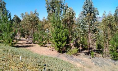 Gestimob Vende Parcela De 5.000 M2 Con Casa En Nilahue Alto