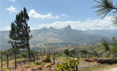 SE VENDE TERRENO EN SORA DE CHAME CON 3088 METROS DIVERSAS VISTAS / AG