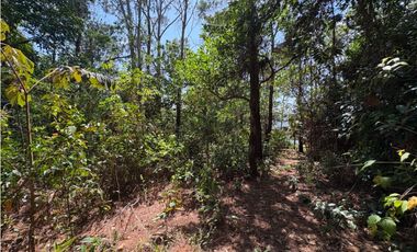 SE VENDE TERRENO EN SORA DE CHAME CON 3088 METROS DIVERSAS VISTAS / AG
