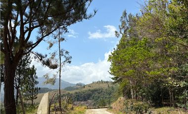 SE VENDE TERRENO EN SORA DE CHAME CON 3088 METROS DIVERSAS VISTAS / AG