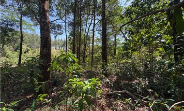 SE VENDE TERRENO EN SORA DE CHAME CON 3088 METROS DIVERSAS VISTAS / AG