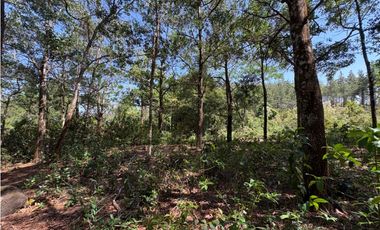 SE VENDE TERRENO EN SORA DE CHAME CON 3088 METROS DIVERSAS VISTAS / AG