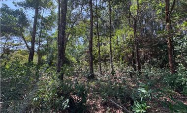 SE VENDE TERRENO EN SORA DE CHAME CON 3088 METROS DIVERSAS VISTAS / AG