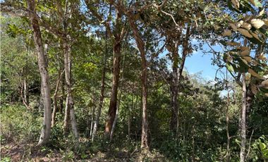 SE VENDE TERRENO EN SORA DE CHAME CON 3088 METROS DIVERSAS VISTAS / AG