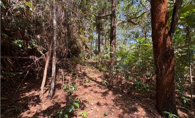SE VENDE TERRENO EN SORA DE CHAME CON 3088 METROS DIVERSAS VISTAS / AG