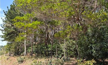 SE VENDE TERRENO EN SORA DE CHAME CON 3088 METROS DIVERSAS VISTAS / AG