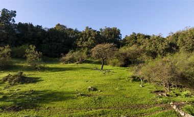 Parcela en Venta en A pasos del centro Central Rapel